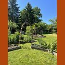 Photographie couleur du jardin pédagogique du MDSM en été