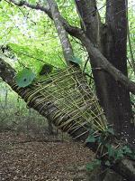 Tressage en viorne ou en osier brut réalisé sur un tronc d'arbre.