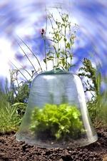 Potager d'autrefois