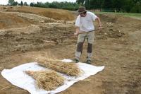 Battage de l'épeautre avec des fléaux