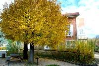 Le musée de la Seine-et-Marne à l’automne