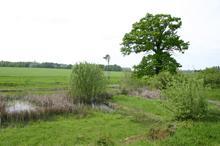 Sanctuaire des sources