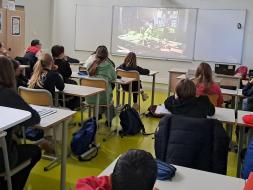 Agrandir l’image
