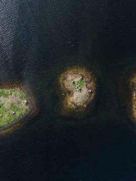 photographie aérienne de 3 îlots, de formes et tailles différentes, assez rapprochés, entourés d'une eau sombre.