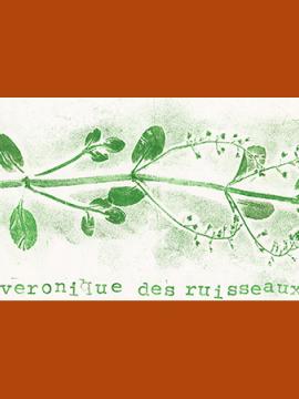 Empreinte de véronique des ruisseaux réalisée à l'encre vert clair sur une feuille de papier