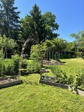 Photographie couleur du jardin pédagogique du MDSM en été