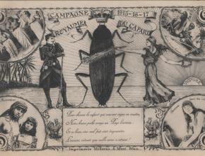Agrandir l’image