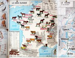 Montage composé d'affiches d'école utilisées dans les années 1950-19. Les affiches représentent les régions d'élevage de vaches et de chevaux, l'anatomie du cheval, la configuration d'une étable et différentes races de vache et la région Rhône-Alpes