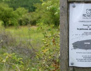 Espace naturel en Bassée - Pro Natura signalée par une affichette sur un poteau en bois