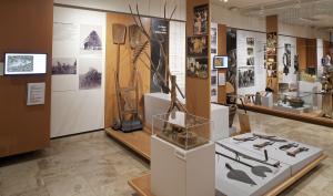 La section culture fourragère et betteraves