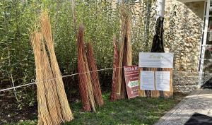 Plusieurs fagots de brins d'osier secs disposés devant l'oseraie du musée