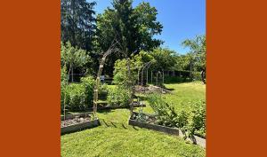 Photographie couleur du jardin pédagogique du MDSM en été