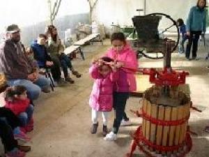 Fabrication jus de pomme