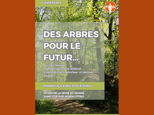 Affiche pour la conférence d'Yves Darricau, visuel représentant un sentier dans un bois au printemps