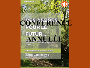 Affiche pour la conférence d'Yves Darricau, visuel représentant un sentier dans un bois au printemps
