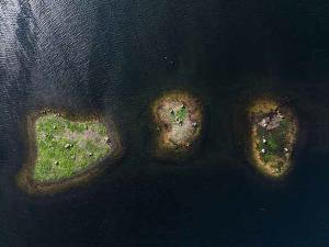 photographie aérienne de 3 îlots, de formes et tailles différentes, assez rapprochés, entourés d'une eau sombre.