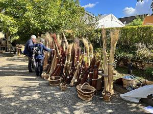 Lors de la précédente édition de la fête des vanniers au MDSM, exposition de différentes variétés d'osier et de paniers de formes et couleurs variées. Échange entre un vannier et des visiteurs.
