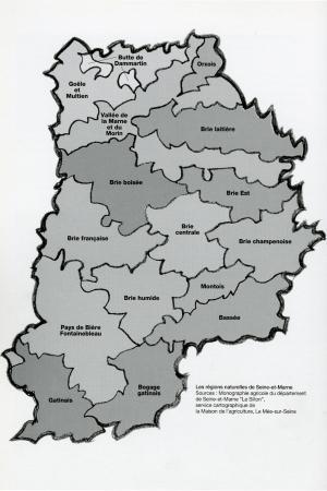 La Seine-et-Marne et ses territoires anciens
