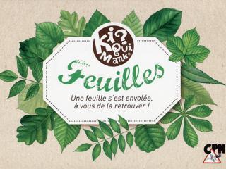 Pochette d'un jeu intitulé "Feuilles"