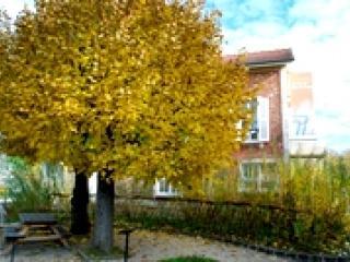 Le musée de la Seine-et-Marne à l’automne