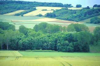 La vallée du Petit-Morin