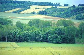 La vallée du Petit-Morin 