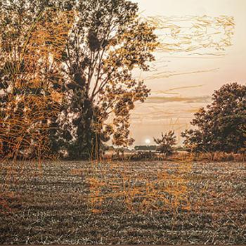 Élément d'un triptyque, photographie d'un paysage rural, un champ bordé d'arbres, avec à l'arrière plan un coucher de soleil. Photographie couleur, avec peinture a tempera dans une tonalité orangée