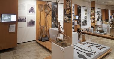 La section culture fourragère et betteraves