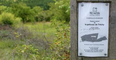 Espace naturel en Bassée - Pro Natura signalée par une affichette sur un poteau en bois