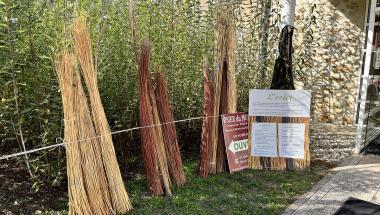 Plusieurs fagots de brins d'osier secs disposés devant l'oseraie du musée