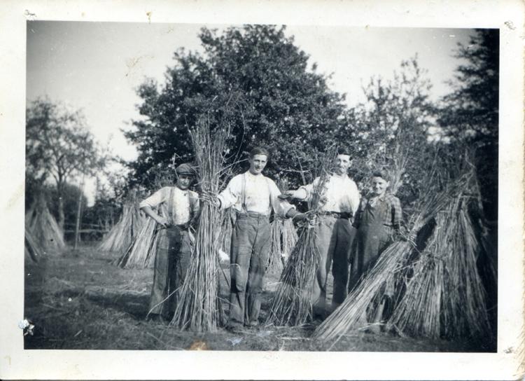 Un groupe de personnes (2 hommes, une femme, 1 adolescent) dressent en bottes le chanvre séché.
