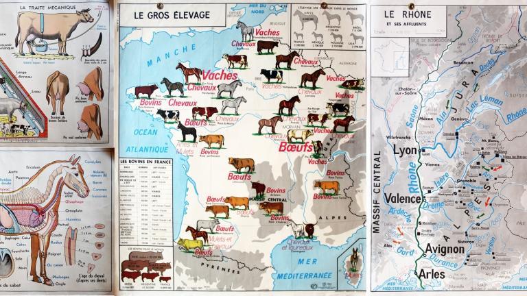 Montage composé d'affiches d'école utilisées dans les années 1950-19. Les affiches représentent les régions d'élevage de vaches et de chevaux, l'anatomie du cheval, la configuration d'une étable et différentes races de vache et la région Rhône-Alpes