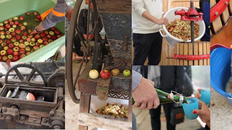 Différentes étapes de la fabrication du jus de pommes : lavage, broyage, pressage et dégustation !