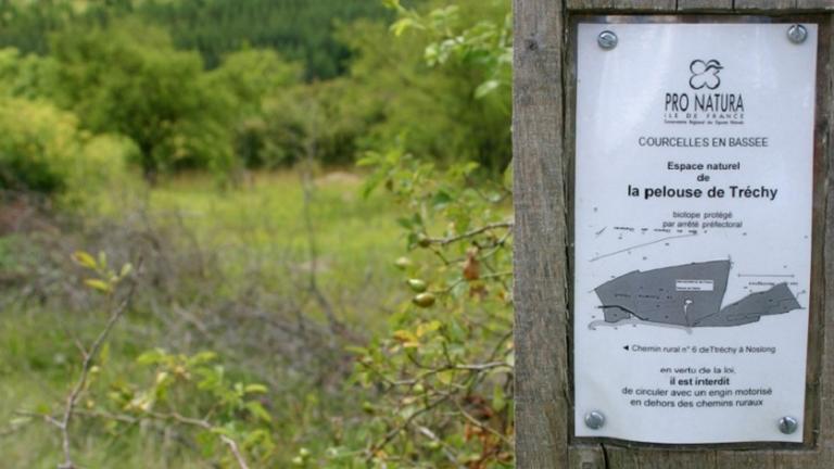Espace naturel en Bassée - Pro Natura signalée par une affichette sur un poteau en bois