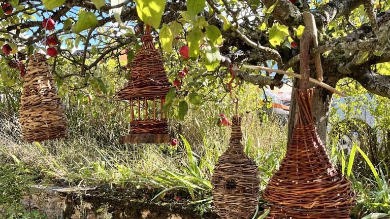photographie couleur représentant des mangeoires pour les oiseaux en osier tressé, accrochées dans le pommier dans la cour du MDSM
