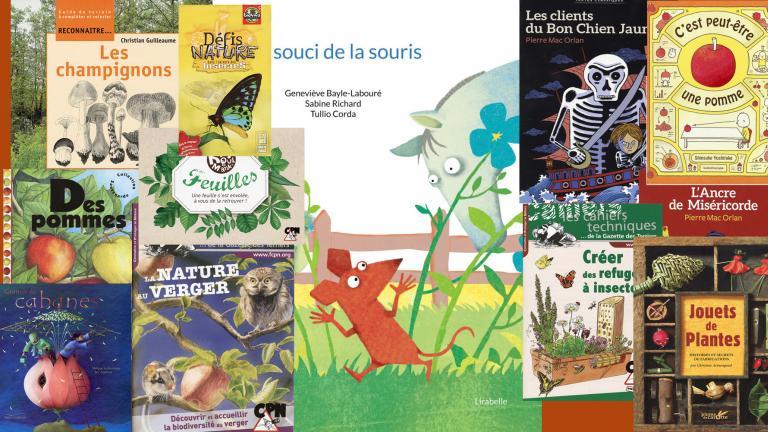 Livre enfant printemps : 19 super albums sur le printemps