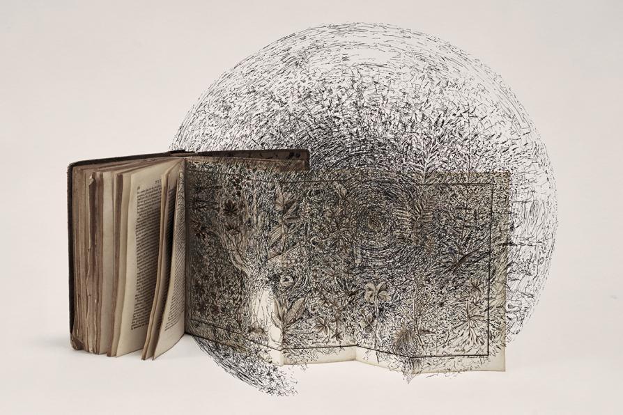 Reproduction d'une oeuvre de Bertrand Flachot, représentant un livre ancien ouvert d'où s'échappent des feuillages  contenus dans un cercle
