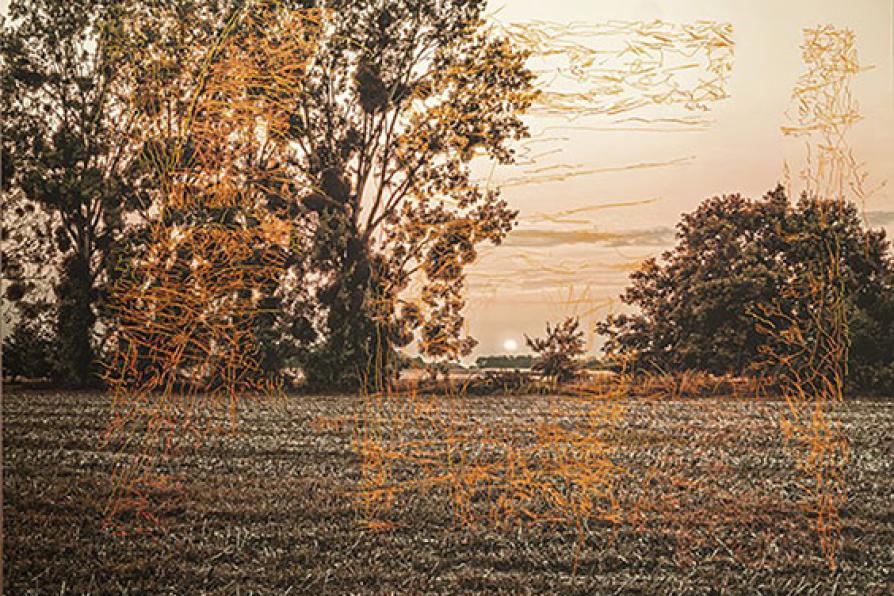 Élément d'un triptyque, photographie d'un paysage rural, un champ bordé d'arbres, avec à l'arrière plan un coucher de soleil. Photographie couleur, avec peinture a tempera dans une tonalité orangée