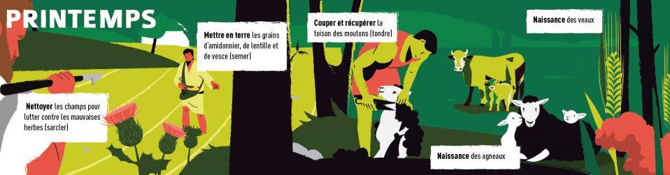 bandeau illustrant les activités pastorales au printemps : la naissance des veaux et des agneaux, la tonte des moutons, le nettoyage des champs et les semences.