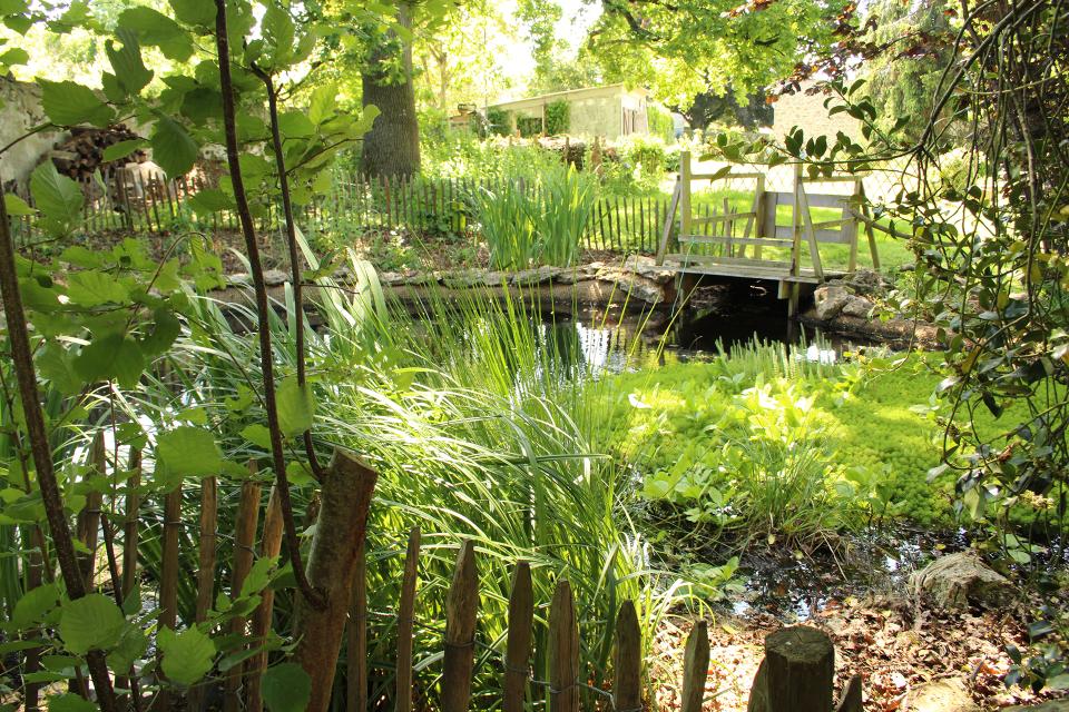 Photographie couleur du plan d'eau au fond du jardin du MDSM. La mare, entourée de verdure est protégée par une barrière en bois